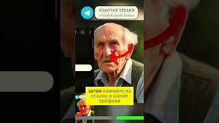БАНКИ больше НЕ СТЕРИЛИЗУЮ! Минута на 100 банок! #садоводство #лайфхак #консервирование #заготовки