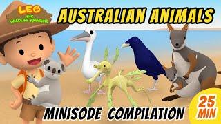 Australian Animals Minisode Compilation - Leo the Wildlife Ranger | Animation | For Kids