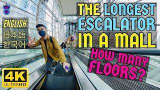 【4K VR】 Why Langham Place has the Longest Escalators inside a Mall of Hong Kong?