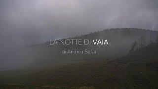 Vaia, la notte che ha cambiato le Dolomiti: il docu-film