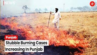 Punjab Sees 1,842 Cases Of Stubble Burning On November 1