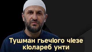 Тушман гьечIого чIезе кIолареб унти