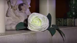 La Rosa de Guadalupe - Mister narco capituo 2