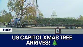 FULL VIDEO: US Capitol Christmas Tree arrives in DC