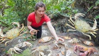 Catch A Lot Of Crab In Forest Goes To Market Sell - Fertilize corn plants | My Bushcraft / Nhất