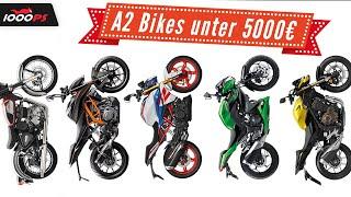 Viel Motorrad für dein Geld - A2 Naked Bikes bis 5.000 Euro