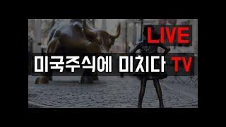 [미국증시] 미국주식에 미치다 TV 라이브