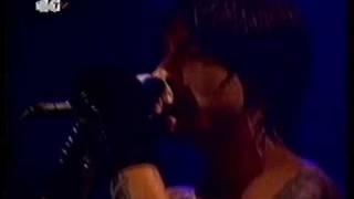 Red Hot Chili Peppers - I Could Have Lied - Live at Madrid