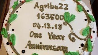 Agri Buzz One year anniversary birthday cake
