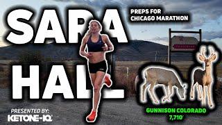 Sara Hall Runs Impressive Final Threshold Effort Before Chicago Marathon | Workout Wednesday