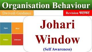 Johari Window, Self Awareness, johari window in hindi, johari window explained, OB,