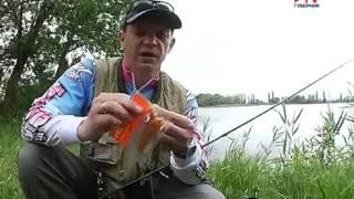 Рыбный день  зачем рыболову спиннинг