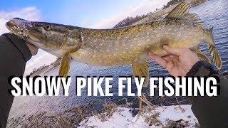 Epic Snowy Pike Fly Fishing