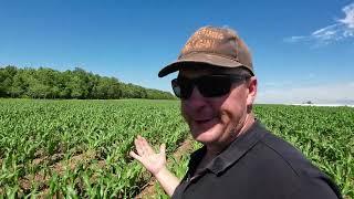 Een Nederlandse boer die niet klaagt? - A Dutch farmer who doesn't complain?