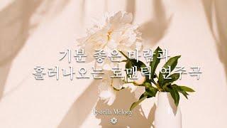 기분 좋은 바람과 흘러나오는 로맨틱 연주곡 | Estella Melody