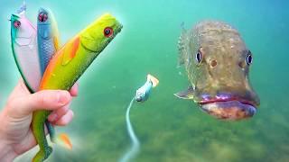 BEST LURE for PIKE ?! We do the test with an underwater fishing camera | Underwater World