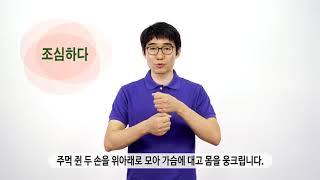 [국립특수교육원] 몸짓상징 "손담" 218 조심하다