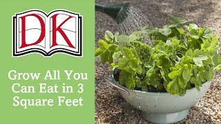 Grow All You Can Eat in 3 square Feet: Crops For Small Spaces