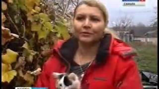 Репортаж о приюте Хати «Вести Самара»