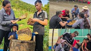 Harvest the largest beehives to get honey to sell, process and preserve honey for medicine