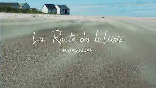 Route des baleines - Natashquan