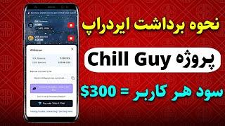 برداشت سولانا و توکن پروژه Chill guyفروش در کیف پول فانتوم با قیمت 0.0002$