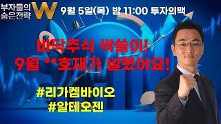 바닥주식 싹쓸이! 9월 **호재가 널렸어요! ▶투자의맥◀ [부자들의 숨은전략 W]