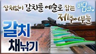 채낚기 어법으로 15개 낚싯바늘에 줄줄히 올라오는 제주 바다 은빛 갈치 향연│제주항과 성산포항 바다에서 잡는 가을 바다의 보물, 갈치│제주 갈치잡이│#바다다큐