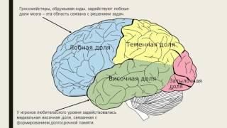 Польза шахмат и УМК "Шахматы в школе"