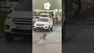Новые технологии,лучший в мире асфальтоукладчик...