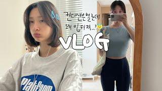 [vlog]일상 브이로그(입터진 pms주간/교촌치킨 최고오/오랜만에..만취요/맥날 해장/야채곱창/고기에 쏘주/남영동 리파인/갈토스트/갈쿡 스테이크와 샐러드/백반/시바견 택이)