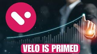  VELO LABS: VELO IS PRIMED!!!