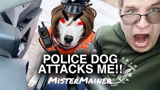 POLICE DOG INJURED ME!! | MISTERMAINER