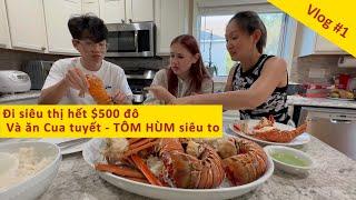 [CUỘC SỐNG Ở BẮC MỸ]-Vlog1: ĐI SIÊU THỊ SĂN SALE- LÀM MUỐI ỚT XANH TỪ LÁ É - ĂN TÔM HÙM VÀ CUA TUYẾT