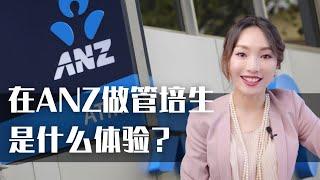 【澳洲工作】我如何成为ANZ2011年唯一的华人管培生？|世界五百强求职之路| 留学生找工作|海外校招GraduateProgram