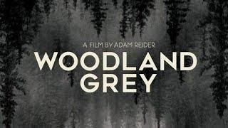 Серый лес фильм / Триллер (2022)