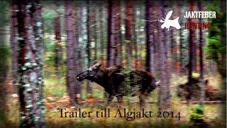 JAKTFEBER Älgjakt 2014 (Trailer)