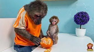 YoYo Jr helps dad feed Yumy some oranges