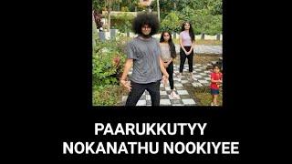 Mudiyan ,shivani and Paarukutty latest dance video|Paarukutty uppum mulakum fame|Uppum mulakum dance