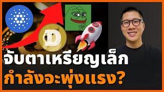 กลิ่นกาวหอมฟุ้ง! Altcoin Season พึ่งเริ่ม โอกาสรวยยังไม่สาย X พี่เข้ม Crypto Dog