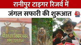 सैलानियों के लिए खुला Chitrakoot का Ranipur Tiger Reserve, बना नया आकर्षण का केंद्र | Wild Life