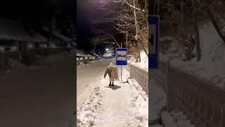 Когда не так понял значение дорожного знака
