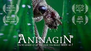 AninagiN 🪲 The insects movie with only sounds | Full film (46mn) l Free watch