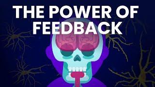 How Feedback Loops Control Everything Around You!