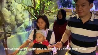 Kane’s Adventure to Jakarta Aquarium