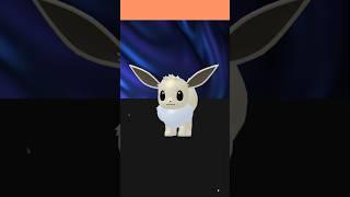 ️Eevee Blanco️...#shinypokemon #eevee #pokemonlegendsarceus