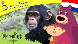 Episode 1 • StoryZoo op bezoek bij de chimpansee in Dierenpark Amersfoort