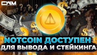 Notcoin доступен для вывода и стейкинга