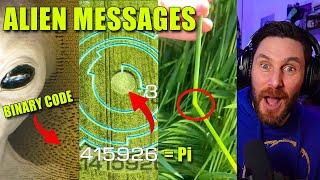 OMG Alien Crop Circles And What I Learnt Is Amazing