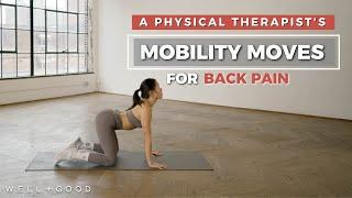 Mobility and Stability Workout for Back Pain | Trainer of the Month Club | Well+Good